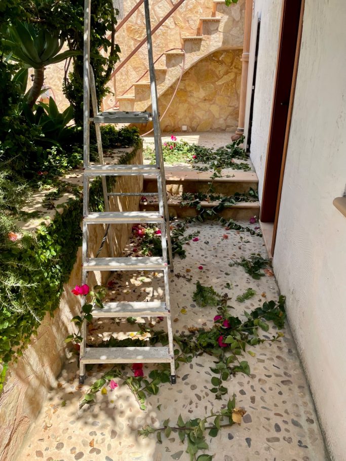 Gartenpflege Eine Leiter steht neben einem Weg, bedeckt mit Blumen und Blättern. Hinter der Leiter sind Stufen.