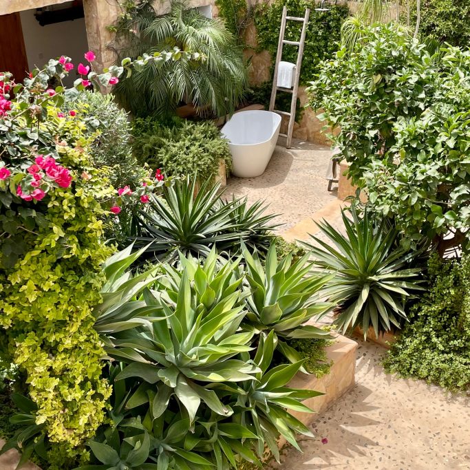 Gartenpflege Grüner Innenhof mit Pflanzen, einer Badewanne und einer Leiter im Hintergrund.