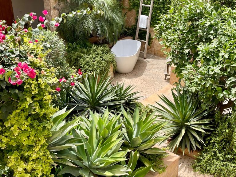 Eine grüne Oase mit Palmen, Kakteen und einer freistehenden Badewanne in einem Garten - individuelle Pflege von Gärten auf Mallorca