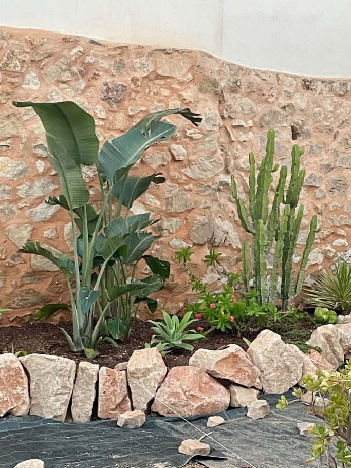Gartenbau Grüner Gartenbereich mit verschiedenen Pflanzen und einer Steinmauer im Hintergrund.