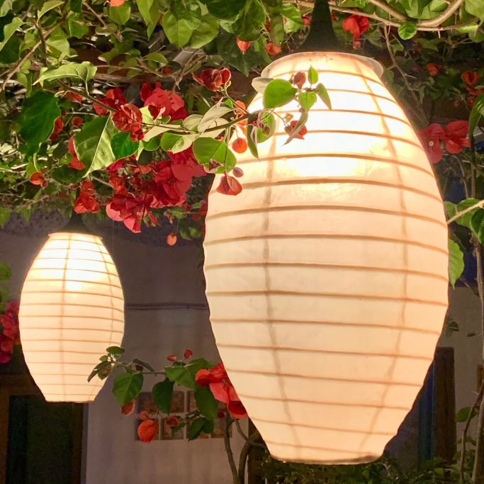 Gartenpflege Zwei schlichte, runde Laternen hängen unter Blütenzweigen.