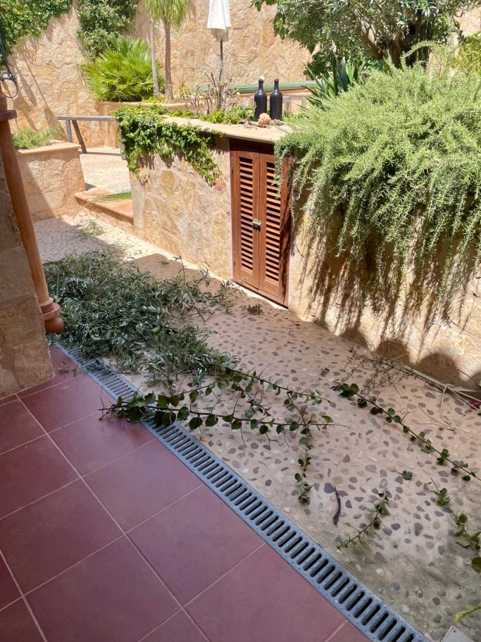 Gartenpflege Ein gepflasterter Weg mit Pflanzen, der zu einer Holztür führt.